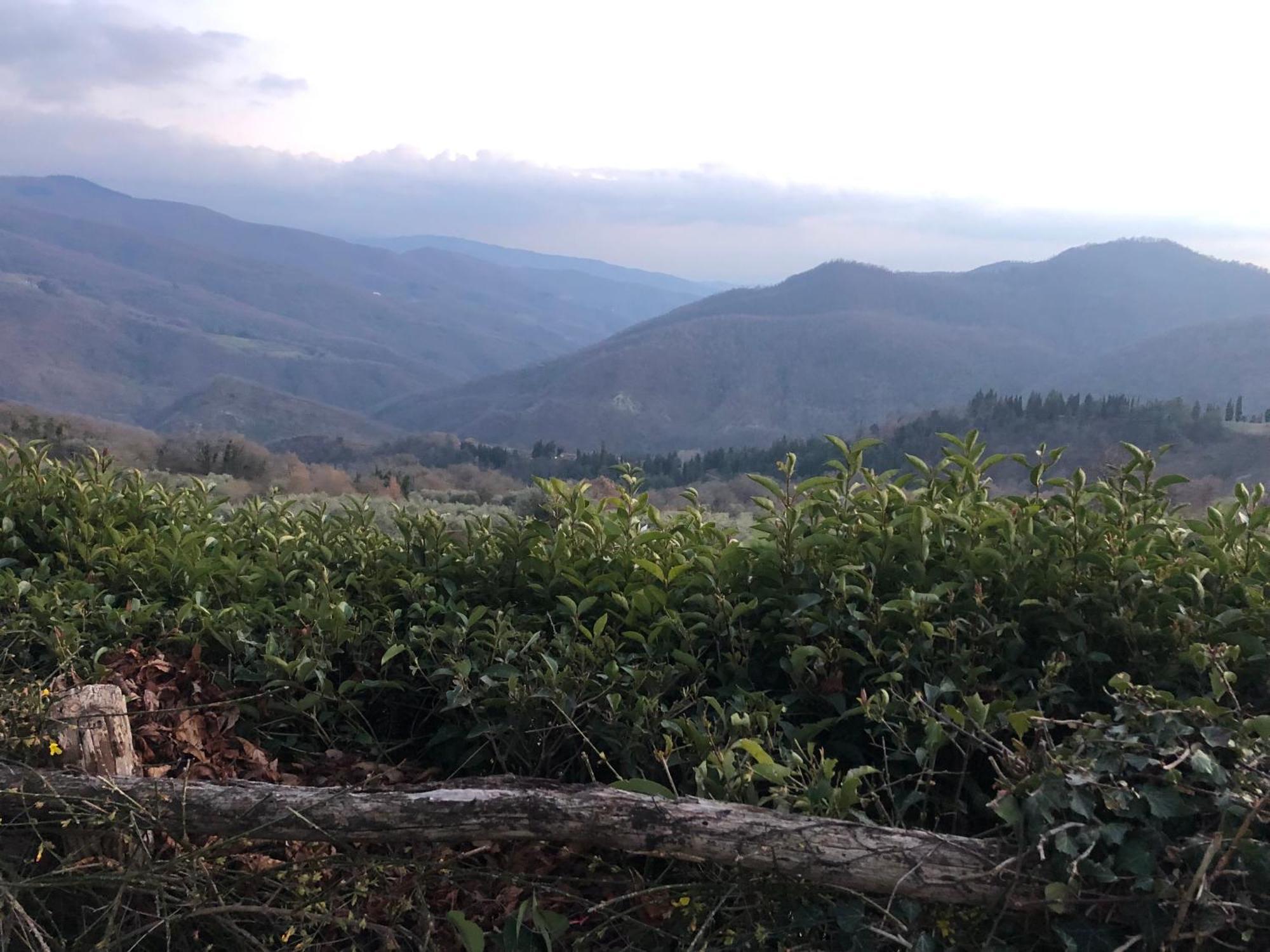 Farm stay Universal Harmony Dicomano