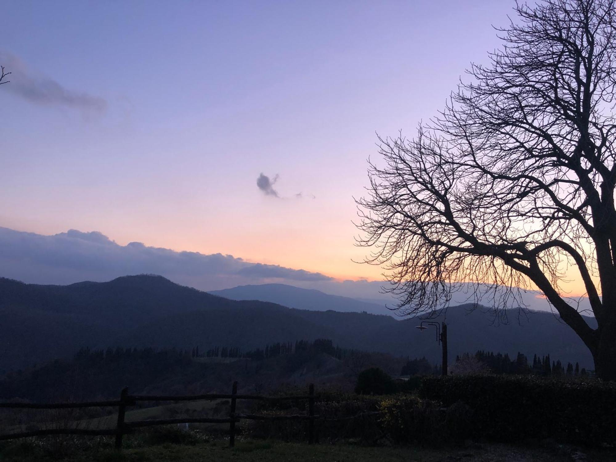 Universal Harmony Farm stay